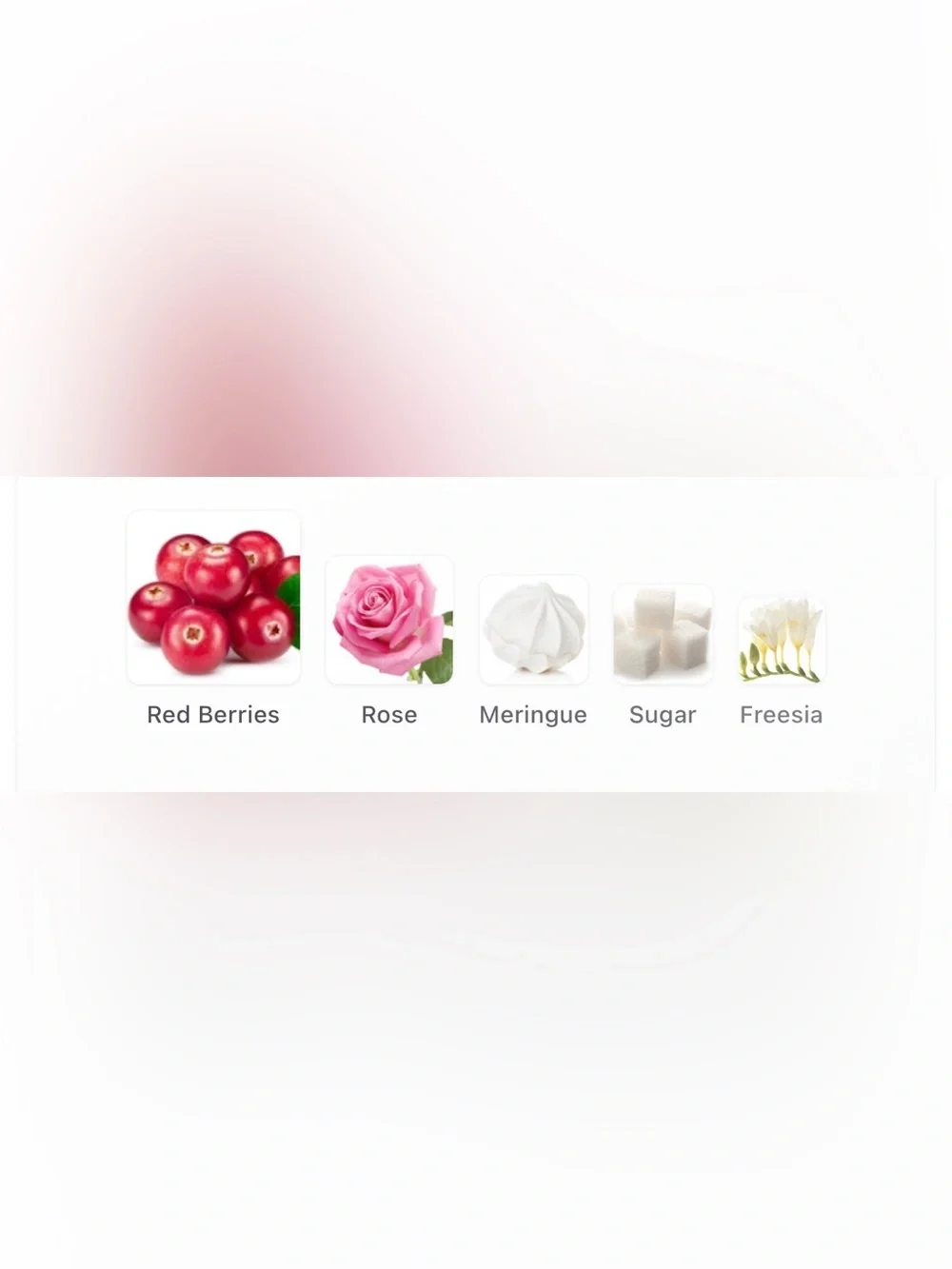 🆕 Gingham Love Fine Fragrance Mist by Bath & Body Works (Discontinued)